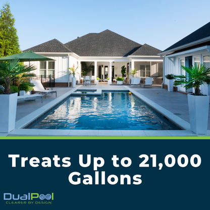 DualPool 2-in-1 Pool Clarifier